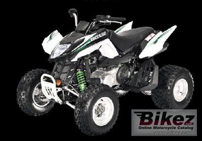 2009 arctic cat 300 dvx photo
